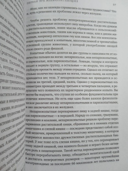 Эльза Панчироли: Звери до нас. Нерассказанная история происхождения млекопитающих