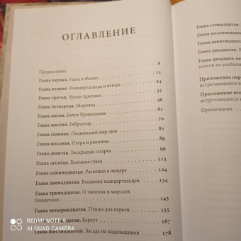 Клайв Финлейсон: Умный неандерталец. Охота на птиц, пещерное искусство и когнитивная революция
