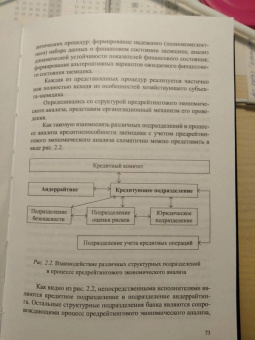 Ендовицкий, Фролов, Широкобоков: Предрейтинговый анализ кредитоспособности заемщика. Организация и методика обеспечения