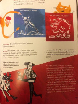 Толченникова, Нечипоренко: Ключи от головы. Что ученые знают про мозг