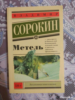Владимир Сорокин: Метель