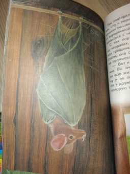 Евгений Пермяк: Чижик-Пыжик