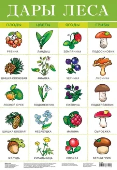 Комплект из 10 обучающих плакатов для детей 4-5 лет