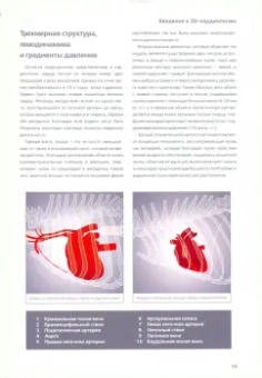 Очоа, Сампер: 3D-кардиология мелких домашних животных. Патофизиологические основы и диагностические ключи