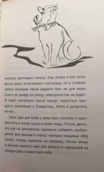 Джеймс Боуэн: Подарок уличного кота Боба