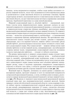 Базикян, Чунихин: Местное обезболивание в стоматологии. Учебное пособие