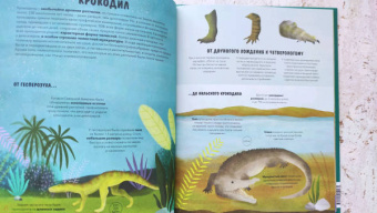 Дуниа Рахван: Эволюция. Как изменилась жизнь за миллиарды лет