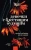 Добмайер, Кацман: Девочки с блестящим будущим