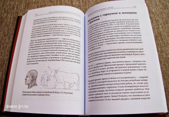 Лебедев, Ветохов, Малых: Забытые гробницы. Тайны древнеегипетского некрополя