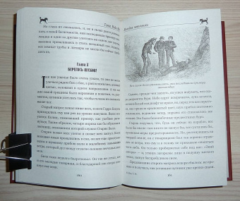 Рид Майн: Пиратский остров. Молодые невольники