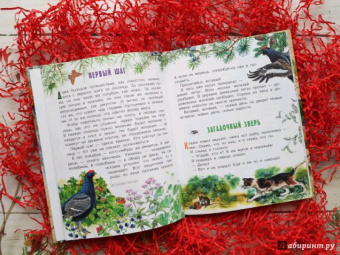 Николай Сладков: Лесные сказки