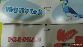 Найди половинки. Цвета и краски