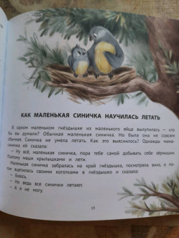 Елена Ульева: Полезные сказки для смелости и уверенности в себе
