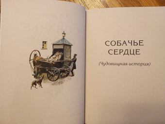 Михаил Булгаков: Собачье сердце