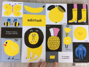 Айно-Майя Метсола: Цвета