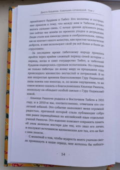 Дилго Кхьенце: Собрание сочинений. Том 1. Путешествие к просветлению. Просветлённая храбрость. Сердце сострадания