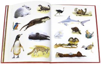 Атлас животных с наклейками