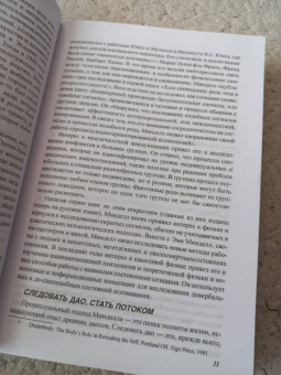 Арнольд Минделл: Квантовый ум. Грань между физикой и психологией