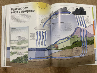 Дэвид Маколи: Как все устроено