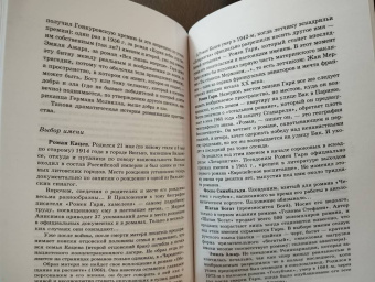 Эмиль Ажар: Псевдо. Жизнь и смерть Эмиля Ажара