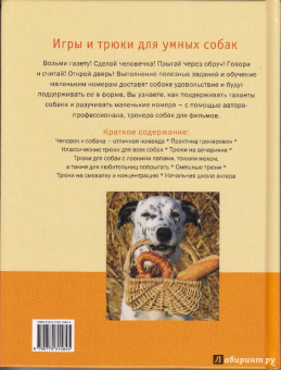 Ангела Вегманн: Дрессируем собаку