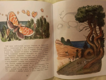 Ольга Велейко: Калининград. Там, где танцует лес