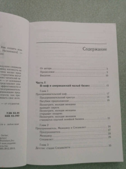 Майкл Гербер: Малый бизнес. От иллюзий к успеху. Как создать компанию и удержать ее