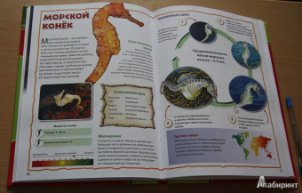 Моя первая книга о животных