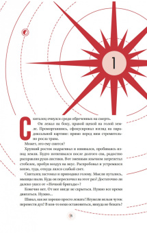 Брендон Сандерсон: Озаренный Солнцем