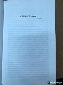 Герман Гессе: Степной волк. Нарцисс и Златоуст