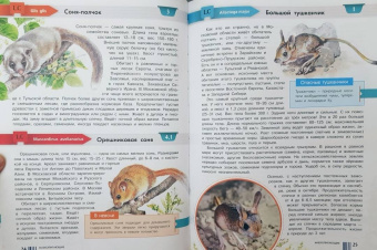 Пескова, Молюков: Красная книга Москвы и Подмосковья