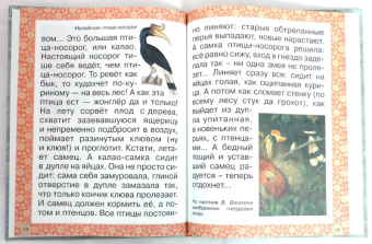 Инна Гамазкова: Гнезда, норки, домики