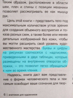 Мишель Лауричелла: МОРФО. Анатомия для художников