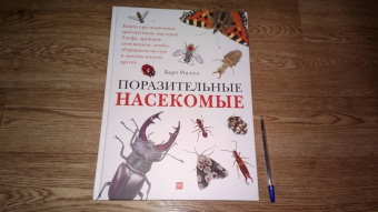 Барт Россел: Поразительные насекомые. Книга про подземных математиков, мастеров блефа, дружных кочевников, зомби