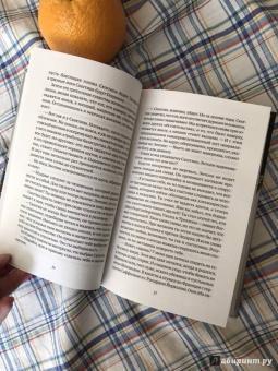 Роберт Ирвин: Чудесам нет конца