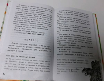 Николай Сладков: Лесные тайнички