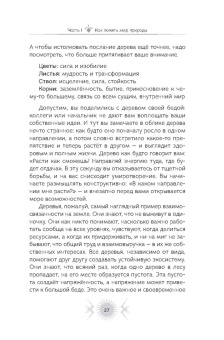 Ана Васкес: Природа. Духовные практики с деревьями, растениями, камнями и ландшафтами