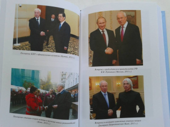 Николай Азаров: Линия раскола. Факты и размышления