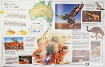 Бамбарадения, Вудрафф, Гинзберг: Животный мир. Иллюстрированный атлас