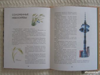 Николай Осипов: Заколдованное дерево