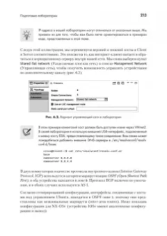Эрик Чоу: Python для сетевых инженеров. Автоматизация сети, программирование и DevOps
