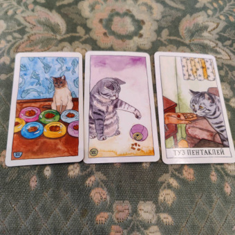 Котт Линн: Cat Tarot. Таро Котиков, 78 карт и руководство в подарочном футляре