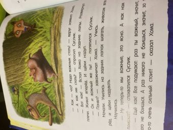 Альберт Иванов: Приключения Хомы и Суслика