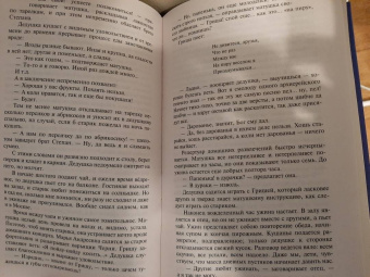 Михаил Салтыков-Щедрин: Пошехонская старина