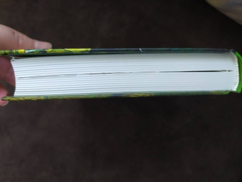 Терри Пратчетт: Творцы заклинаний. Вещие сестрички