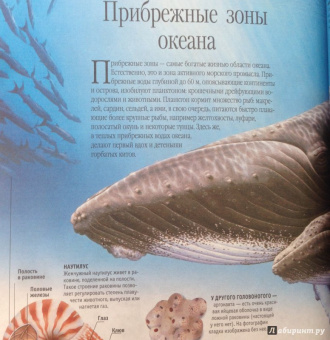 Тина Канделаки: Гигантская энциклопедия живого мира