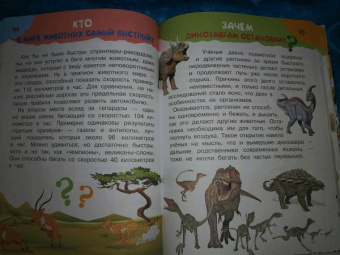 Владимир Малов: 100 тысяч зачем