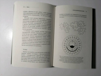 Манкузо, Виола: О чем думают растения. Тайная жизнь, скрытая от посторонних глаз