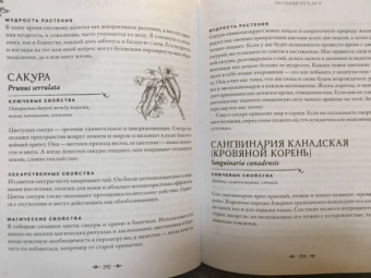 Джульетта Диас: Магия растений:  откройте для себя магию, священный язык 200 растений