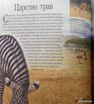 Тина Канделаки: Гигантская энциклопедия живого мира